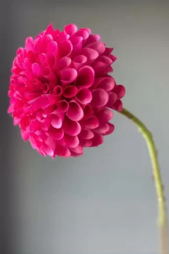 Pip Studio Pip Kunstbloemen Sweet Symphony Online